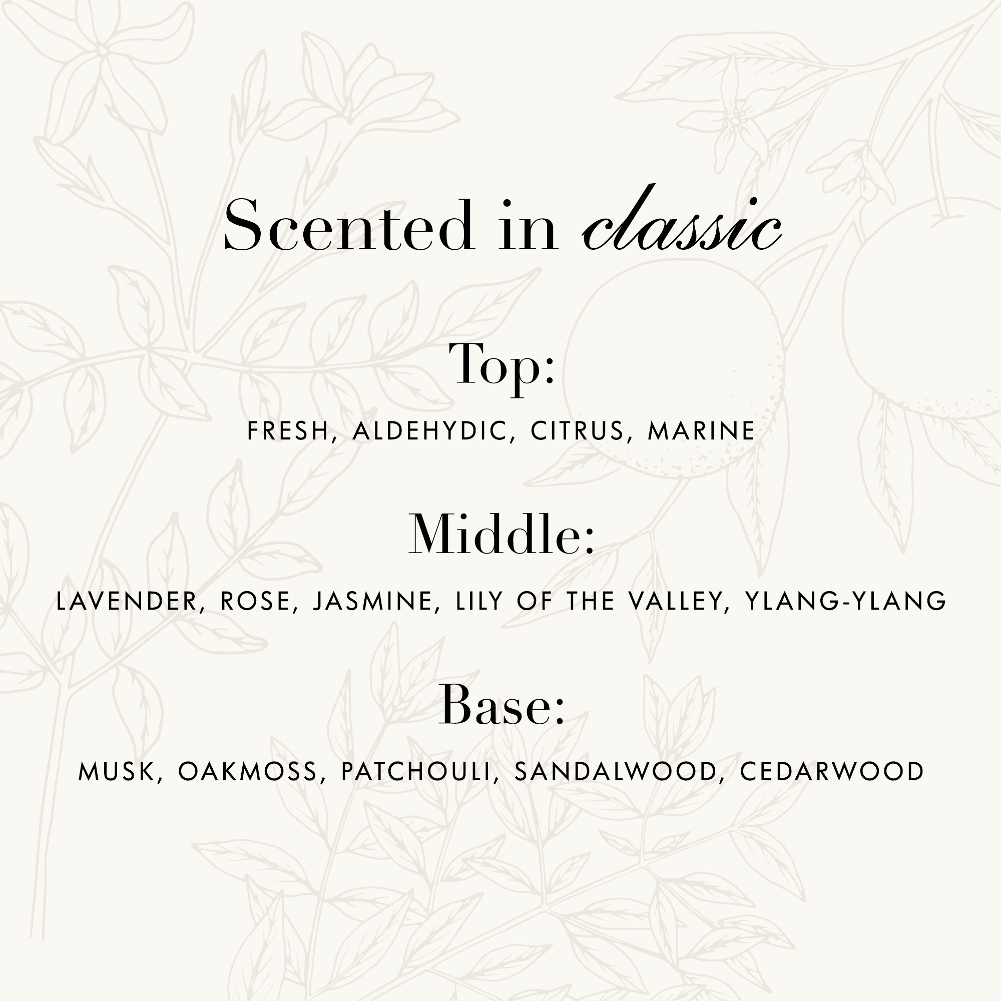 Signature Detergent Classic Gallon The Laundress