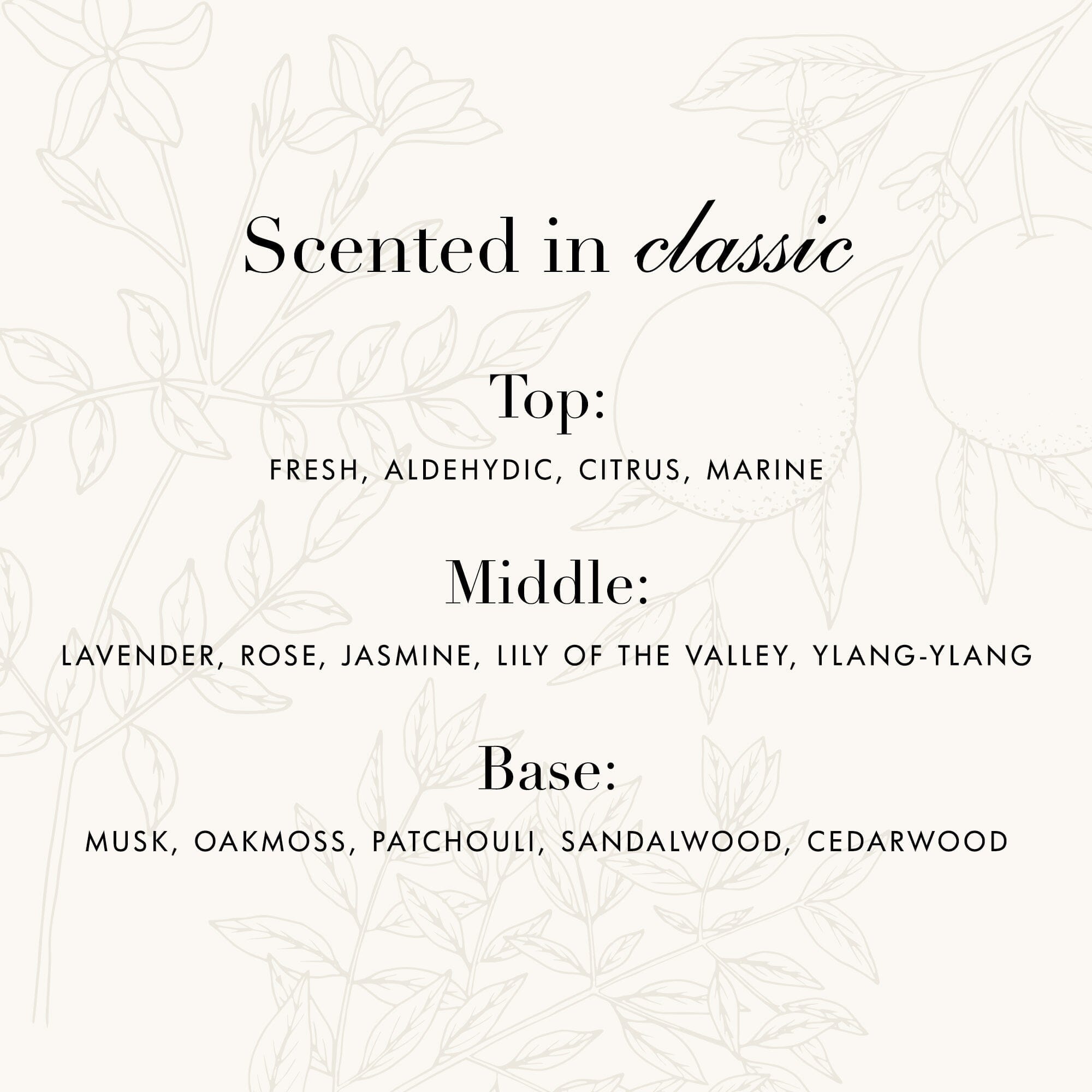 Darks Detergent Household Supplies The Laundress