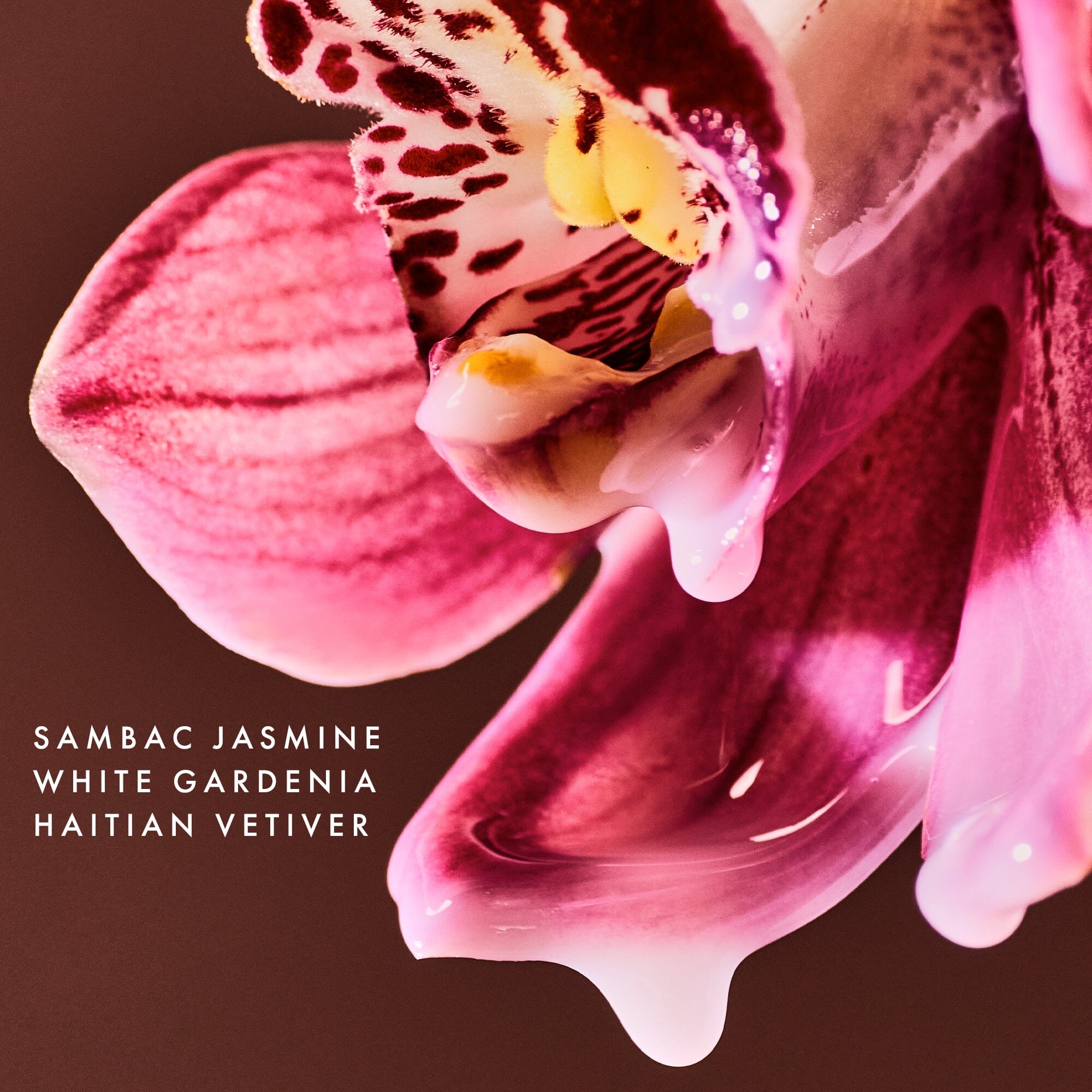 Flora Luna Laundry Detergent The Laundress