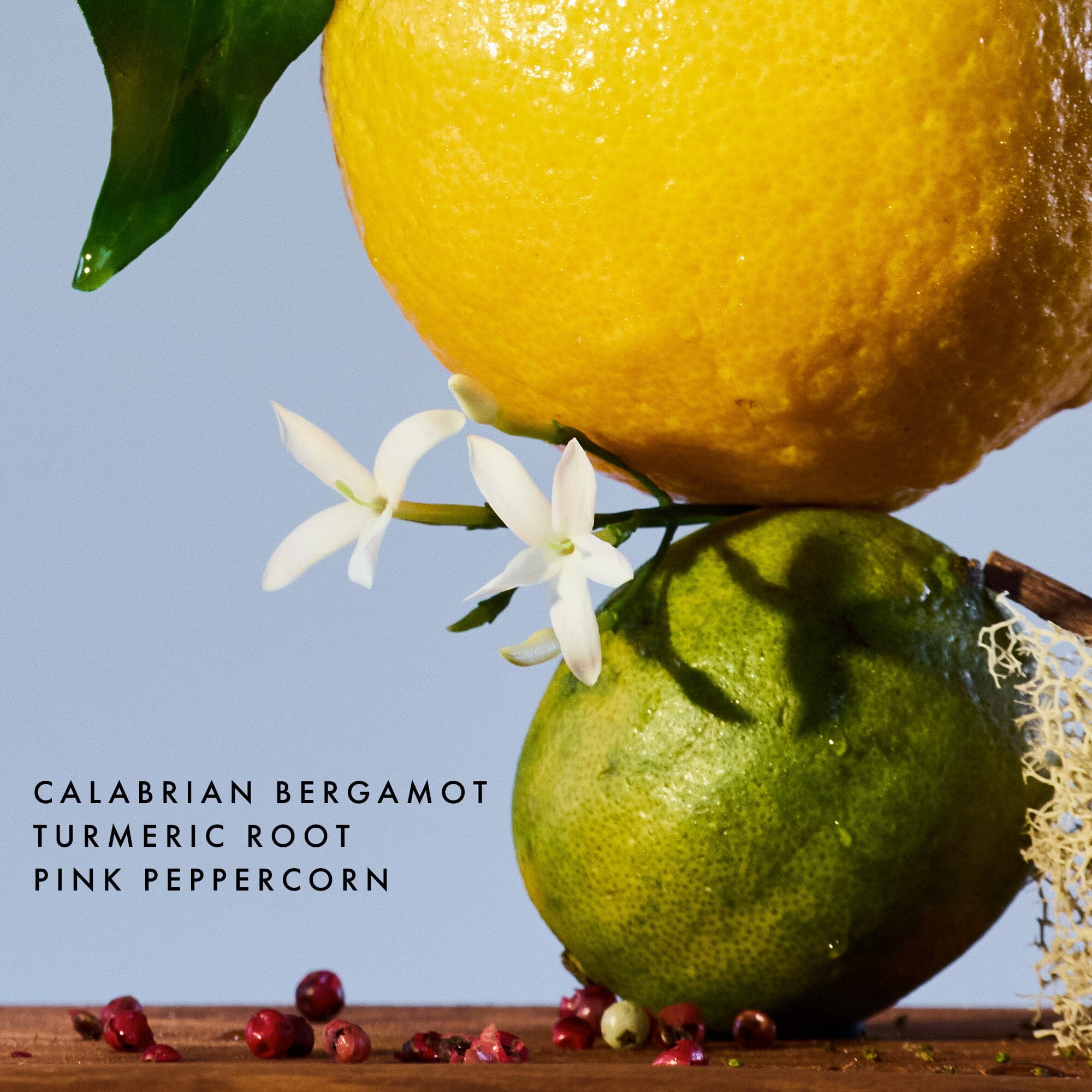 Fresh Take Laundry Detergent The Laundress