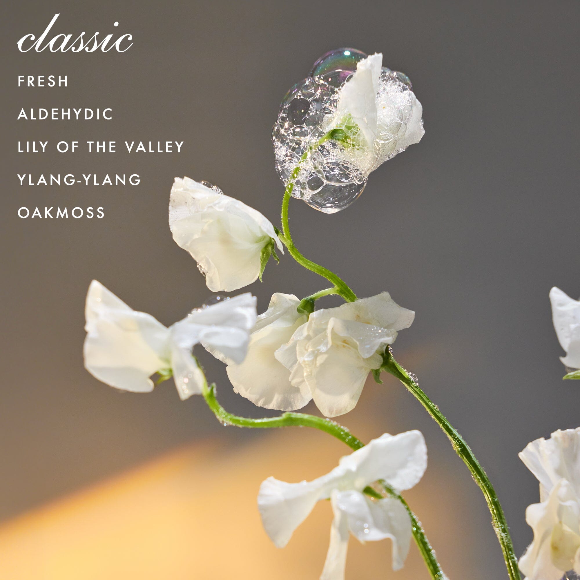 Signature Detergent Classic Gallon Household Supplies The Laundress