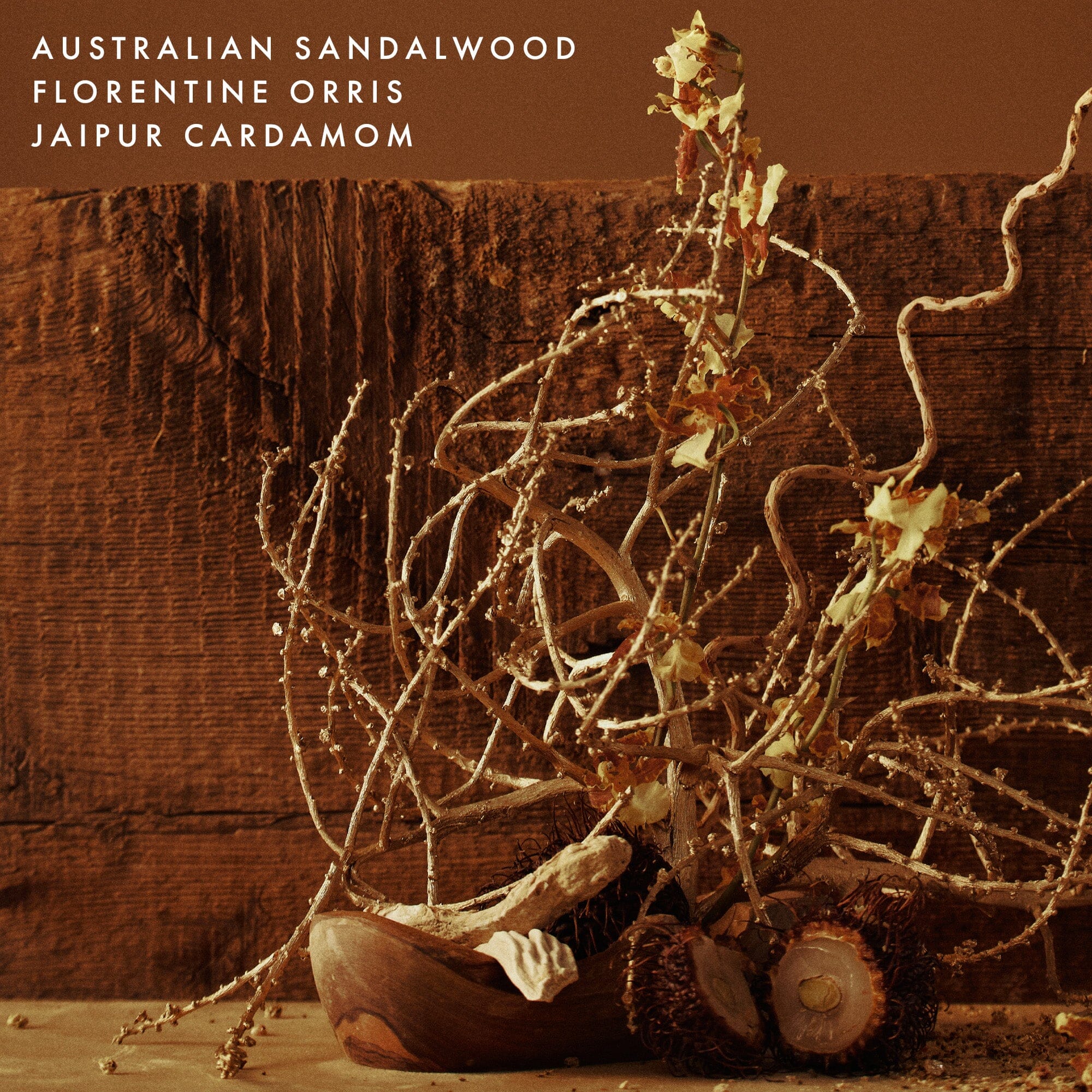 Soft Focus Laundry Detergent The Laundress