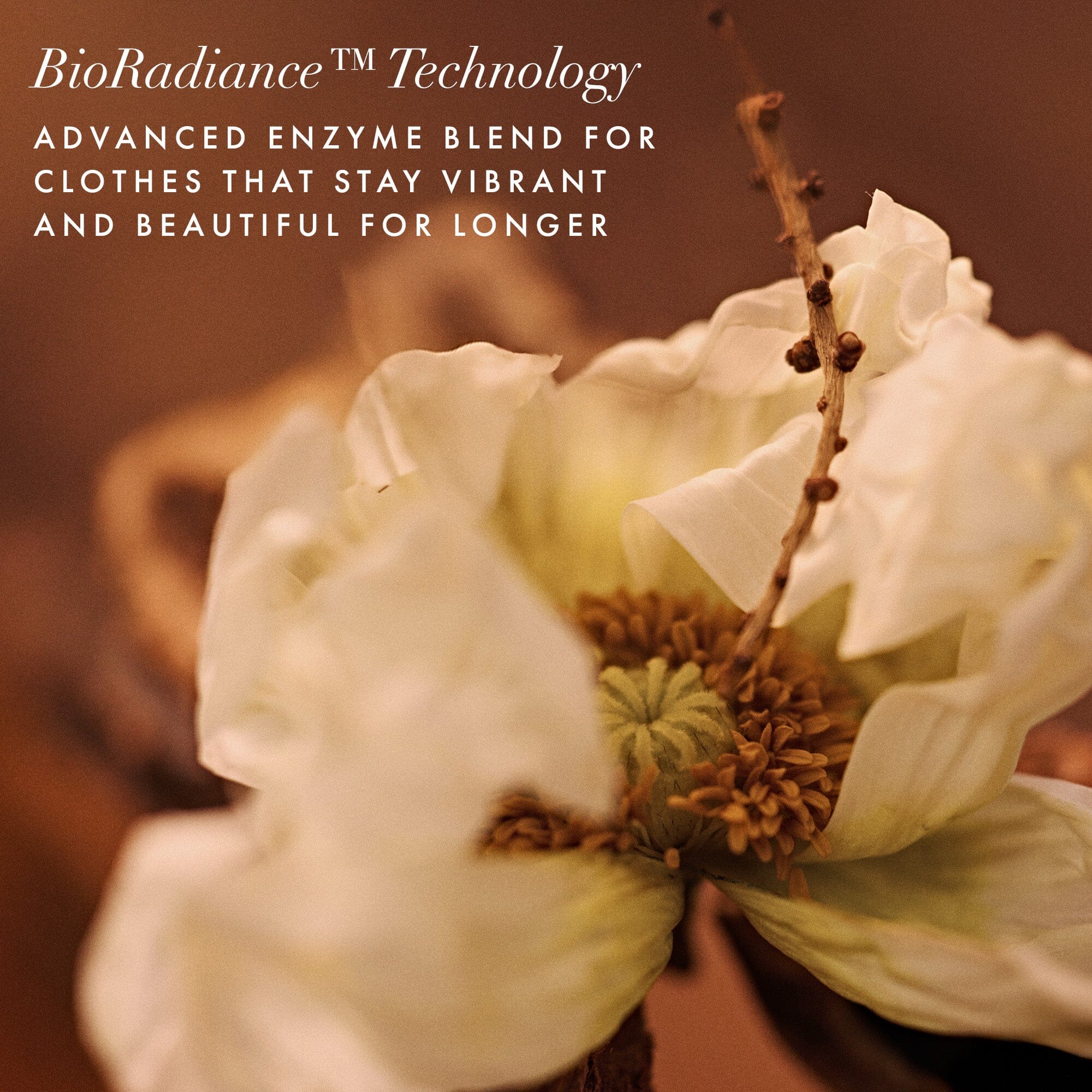 Soft Focus Laundry Detergent The Laundress