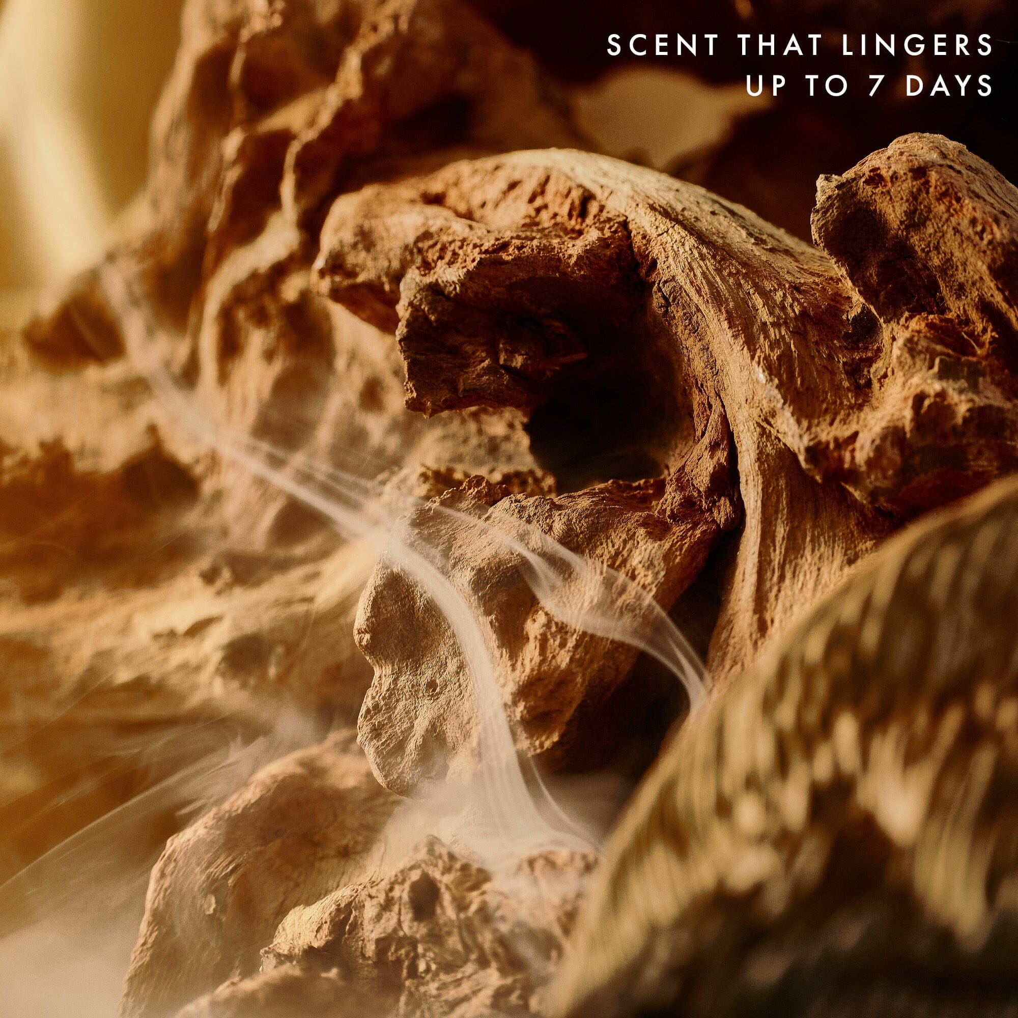 Soft Focus Laundry Detergent The Laundress