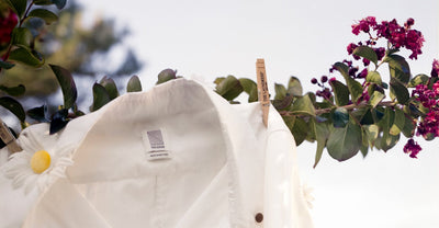 The Laundress x Rosie Assoulin