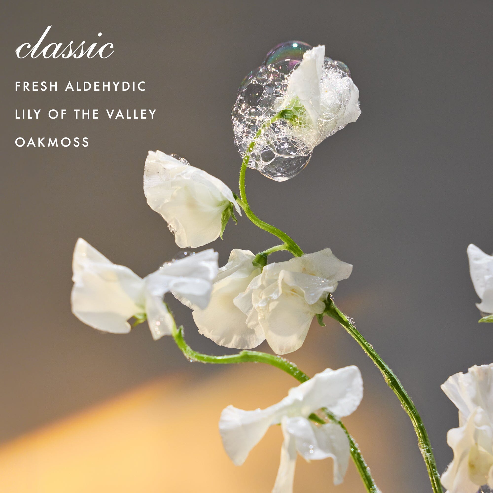 Laundress Signature Detergent - Thumbnail 3