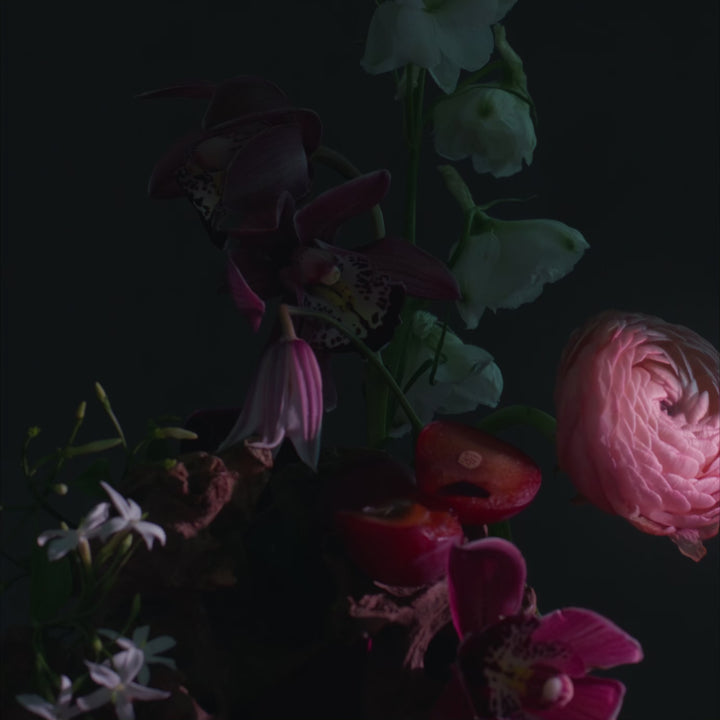 Indulgent Detergent Collection Trio