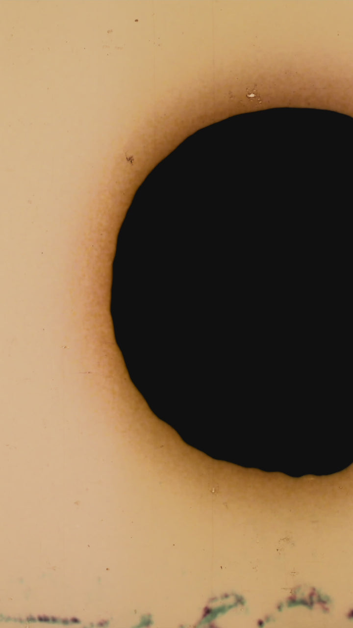 Beauty Sleep Laundry Detergent